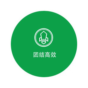 团结高效 团结高效